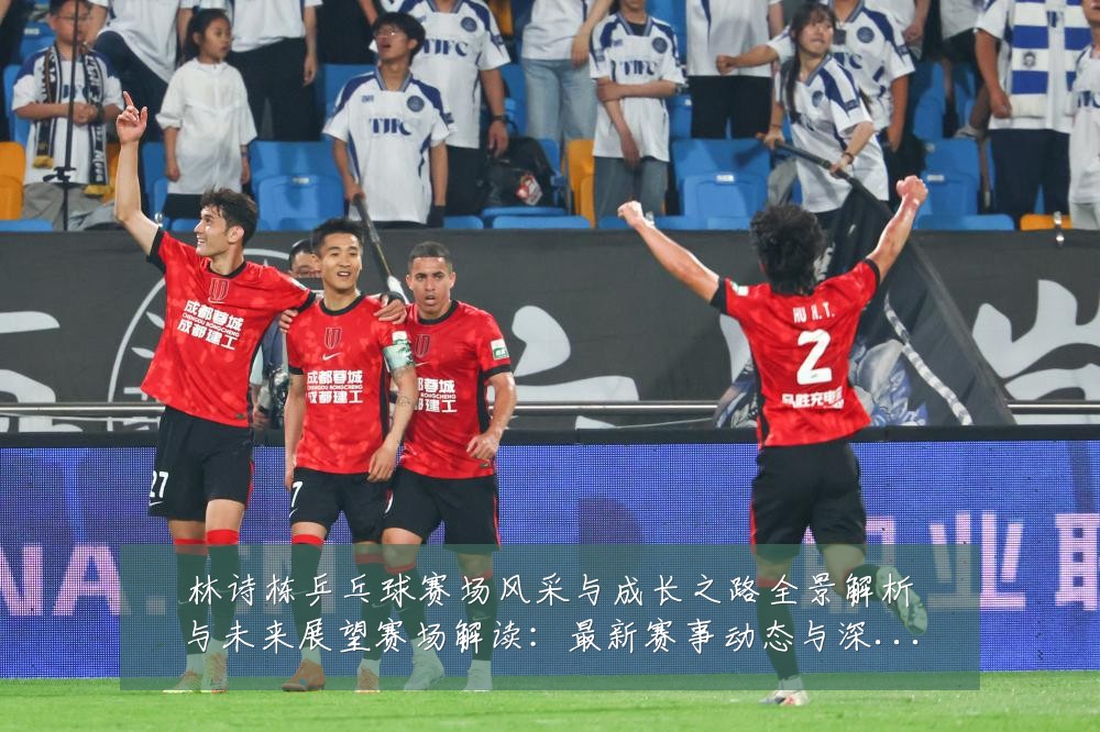 林诗栋乒乓球赛场风采与成长之路全景解析与未来展望赛场解读:最新赛事动态与深度分析